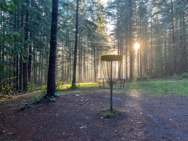 Discgolfkorg som står i en skog och solen som lyser mellan träden